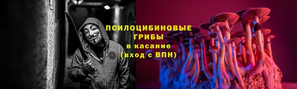 соль ск Армянск