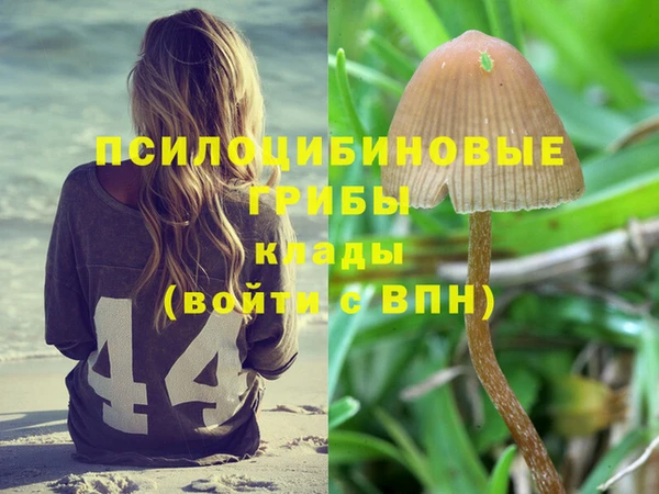 спиды Арсеньев