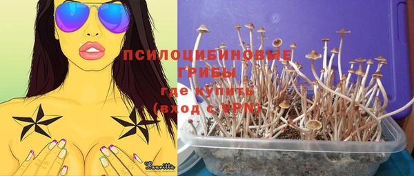 спиды Арсеньев
