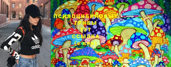 спиды Арсеньев