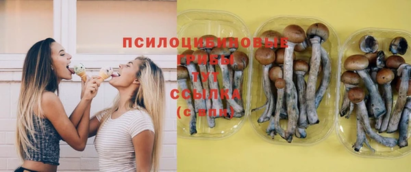 соль ск Армянск