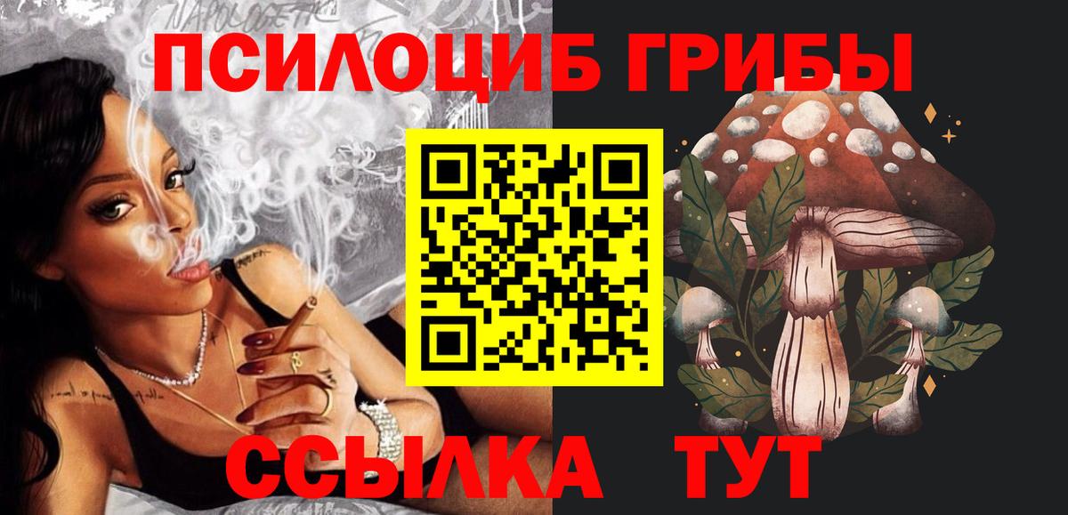 Псилоцибиновые грибы мицелий Протвино
