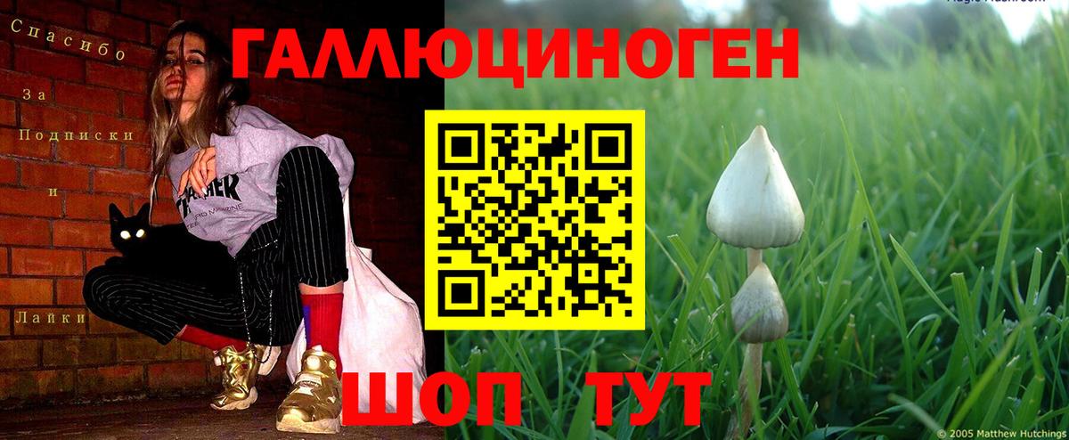 Протвино  Псилоцибиновые грибы MAGIC MUSHROOMS  Вход с VPN 
